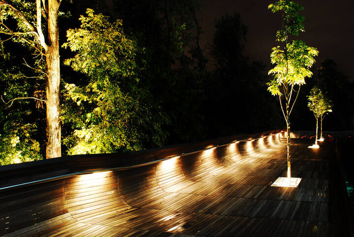 Undulating steel canopy of Henderson Waves picked out by concealed linear lighting at night