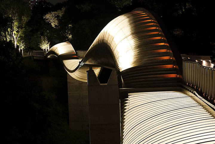 Trees and planting alongside the bridge deck lit by recessed uplights